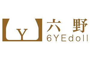 6YE Logo